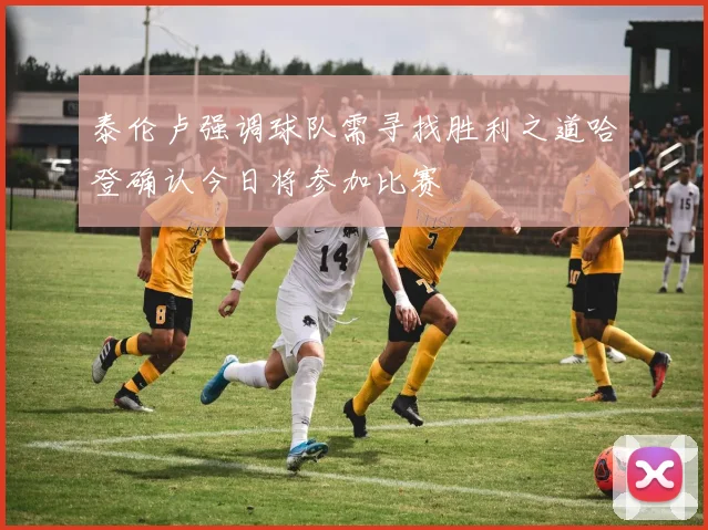 泰伦卢强调球队需寻找胜利之道哈登确认今日将参加比赛